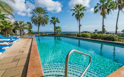 30 Mil vs. 60 Mil PVC Pool Liners: Understanding the Difference and Choosing the Right Solution